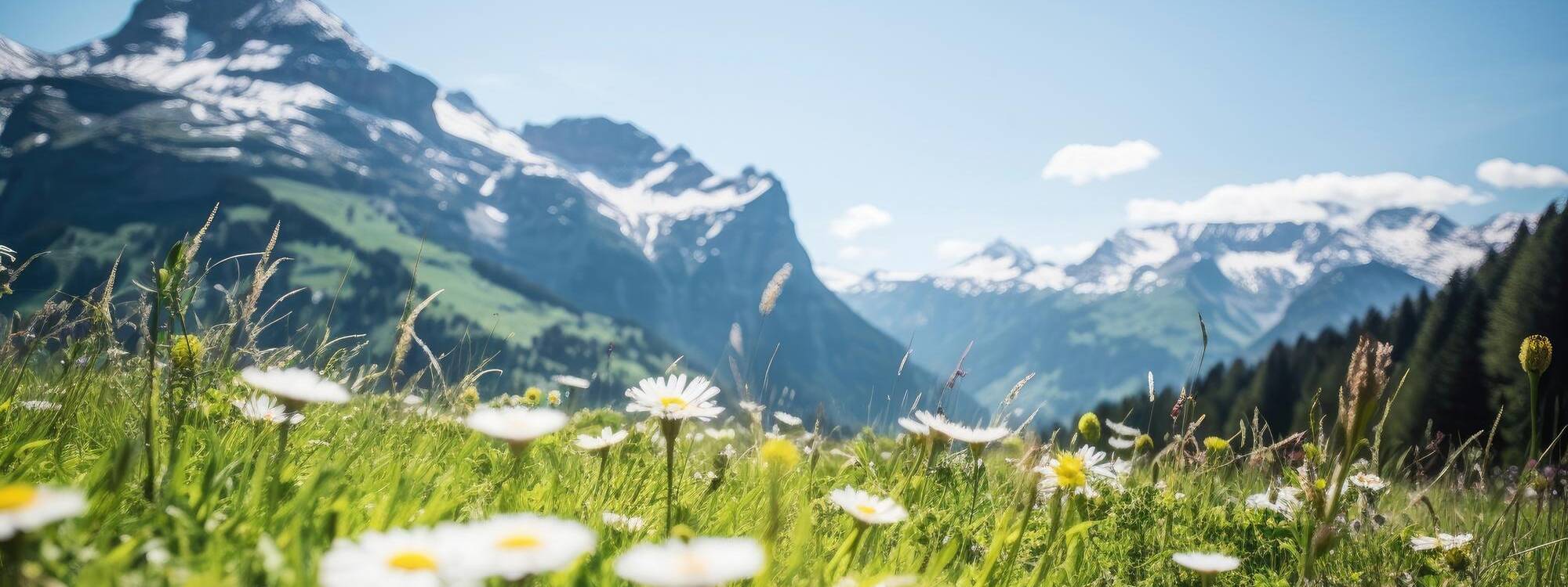 Sommerurlaub - Region Imst